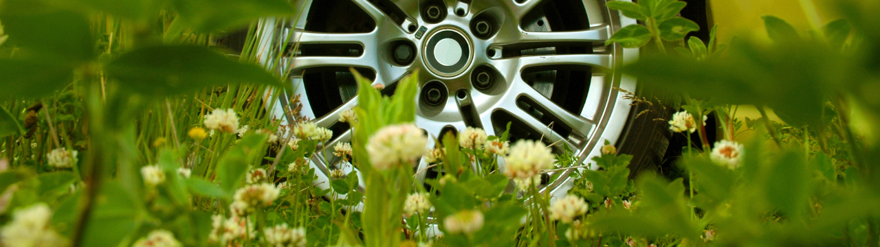 wheel of car through green field and flowers
